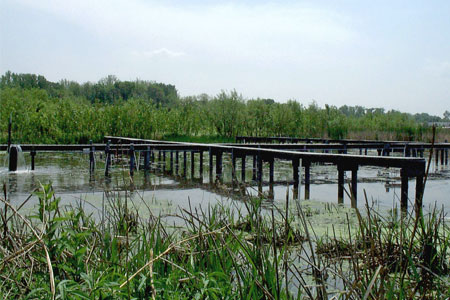 Wetland Monitoring on the Olentangy River