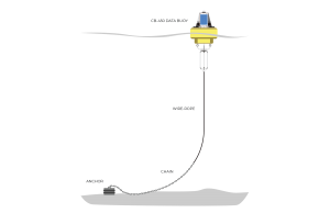 Mooring Data Buoys - NexSens